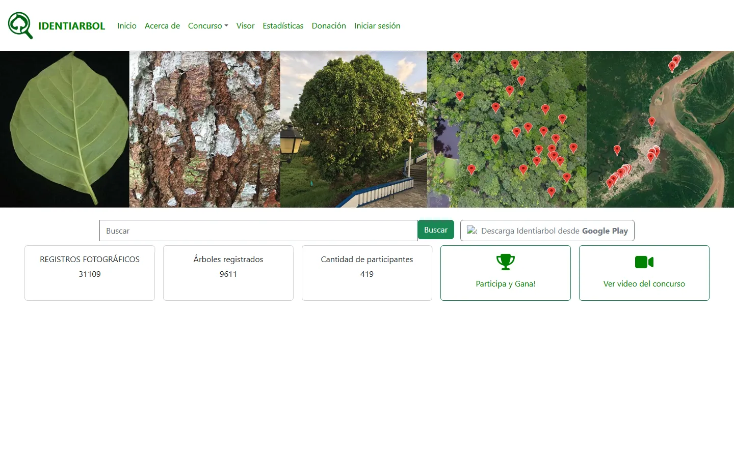 Plataforma web de Identiarbol con buscador, estadísticas y acceso al concurso